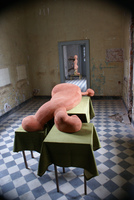 Anton Cotteleer