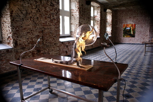 Tom Vanuytrecht